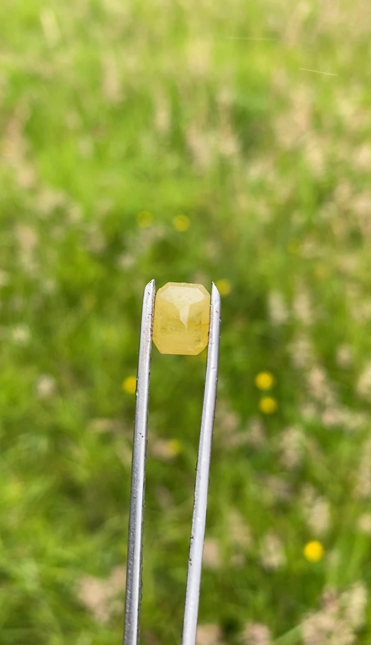 5.15 Natural Yellow Sapphire Gemstone